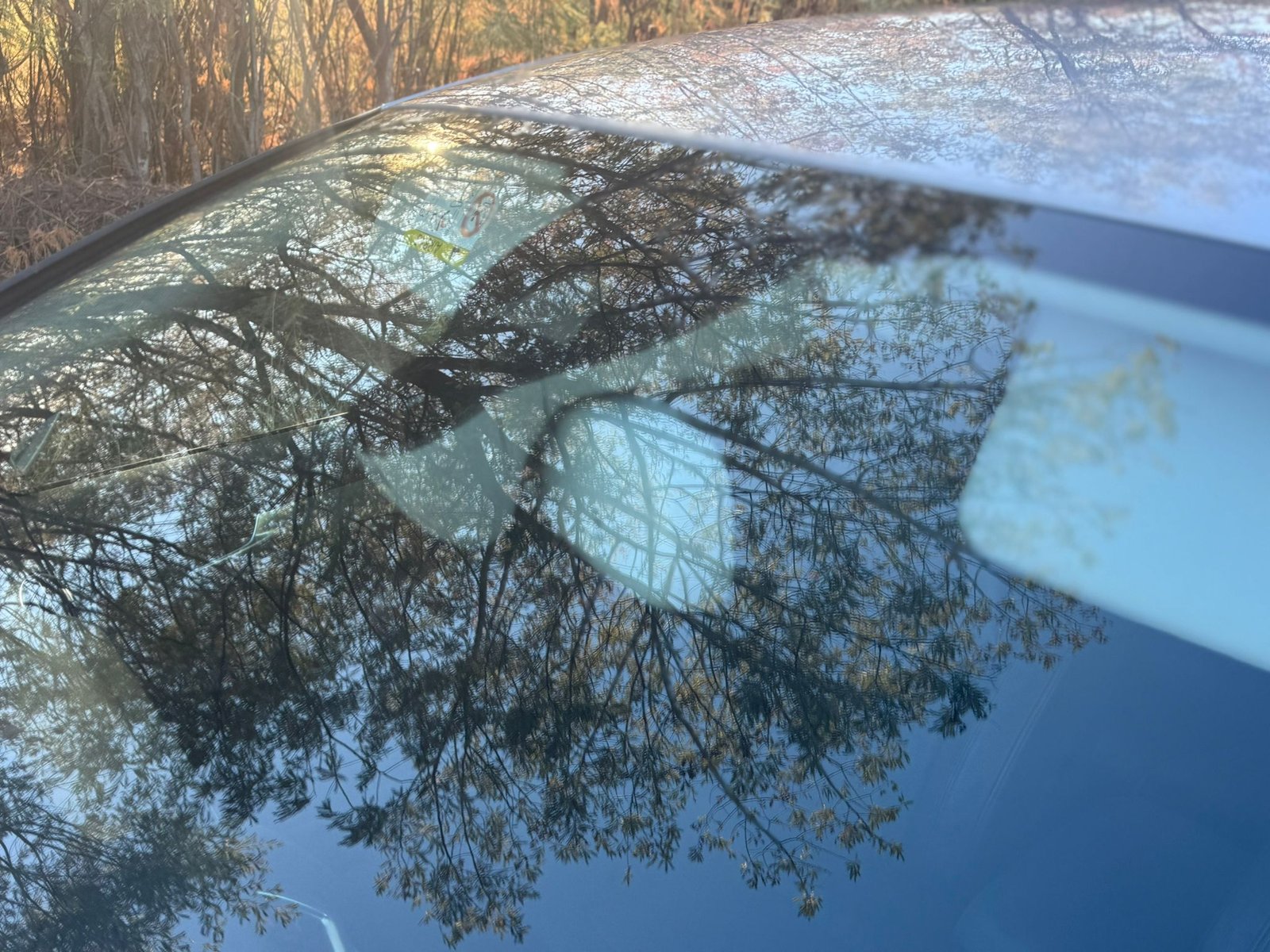 
								AUDI A5 SPORTBACK completo									