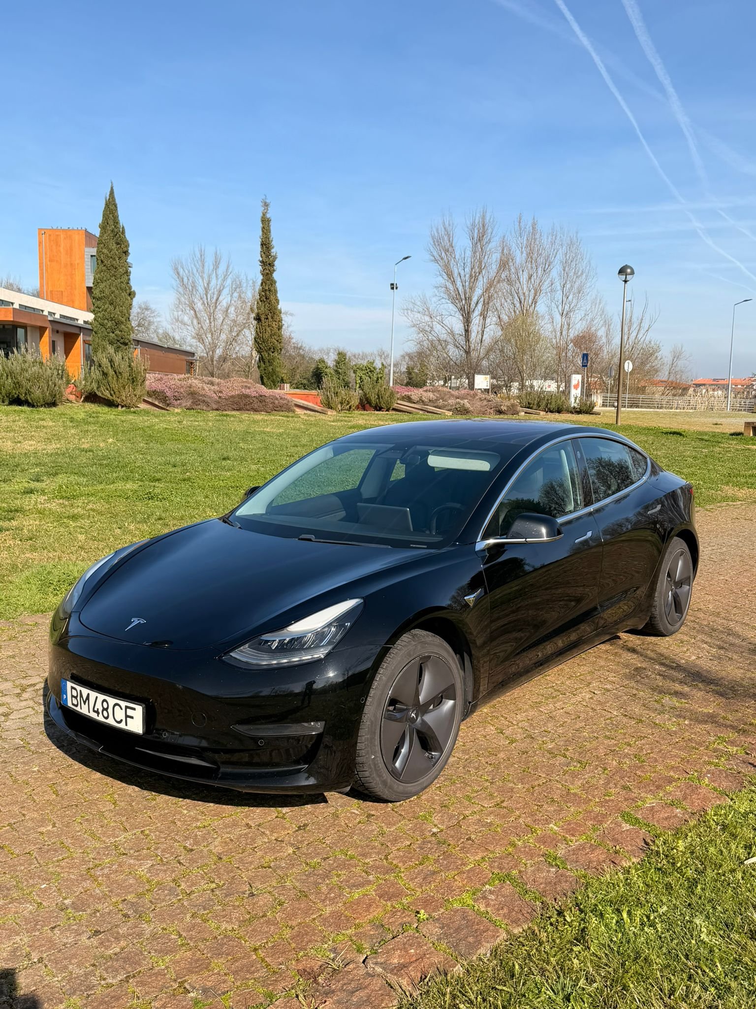 
								TESLA MODEL 3 LONG RANGE 2019 completo									