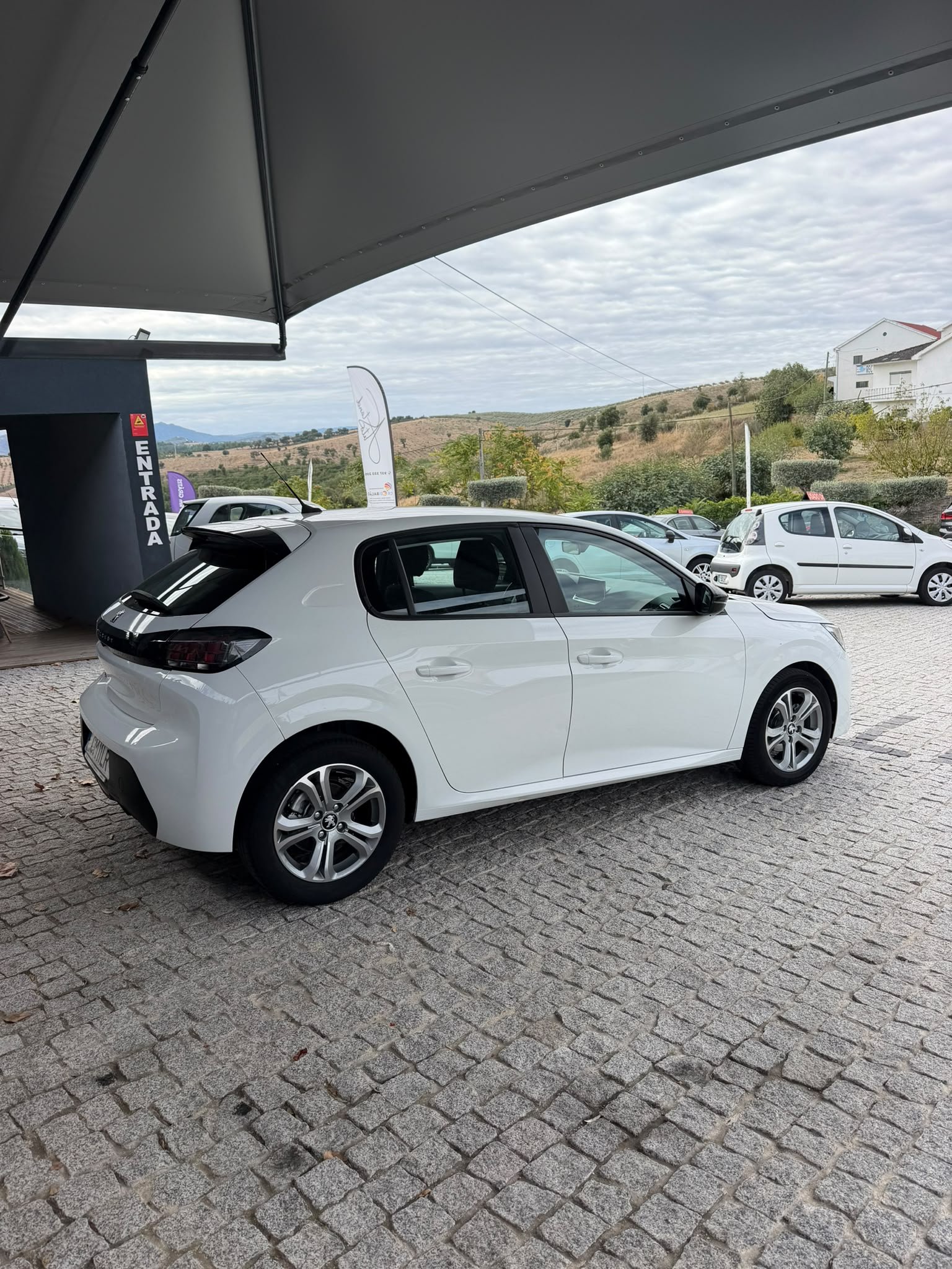 
								PEUGEOT 208 2022 completo									